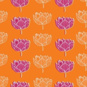 Orange and pink lotus