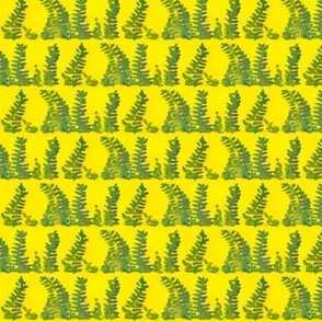you_and_me_yellow_fern