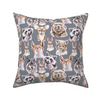 fluffy woodland animals on stone gray