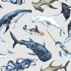 deep sea animals on light gray