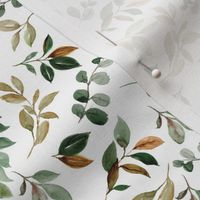 magnolia leaves and branches - small
