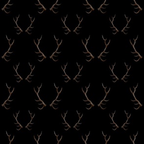 Brown deer antlers on black