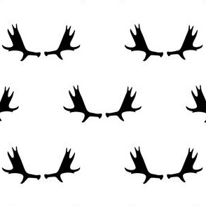 2" black deer antlers
