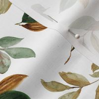 magnolia leaves and branches - medium