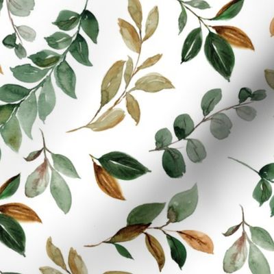 magnolia leaves and branches - medium