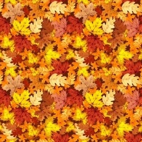 Autumn Leaf Pile