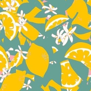 Lemons Abstracted Coordinate