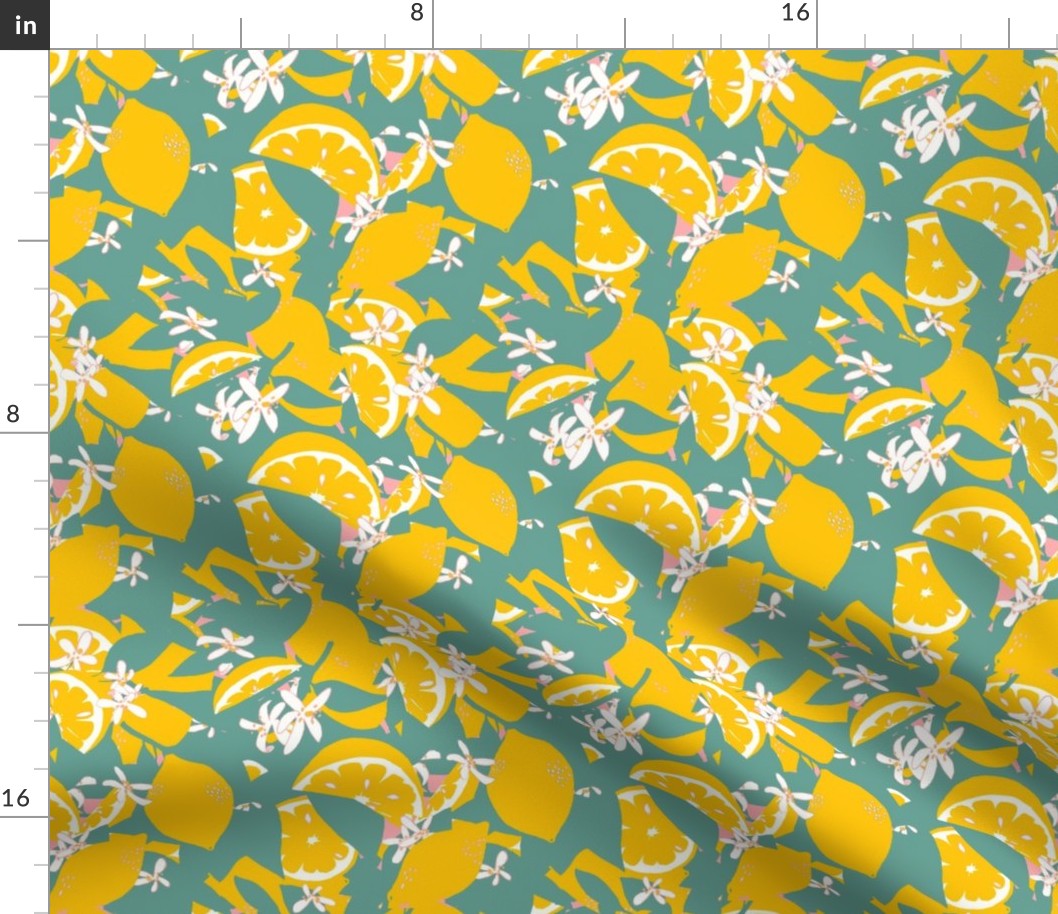 Lemons Abstracted Coordinate