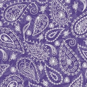 Paisleys White on Grape Purple Texture