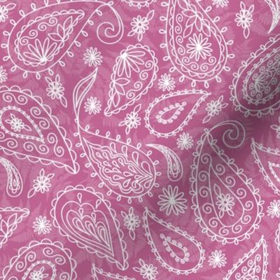 Paisleys White on Peony Pink Texture