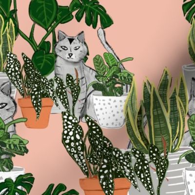 Indoor Garden Where´s the Cat Pink
