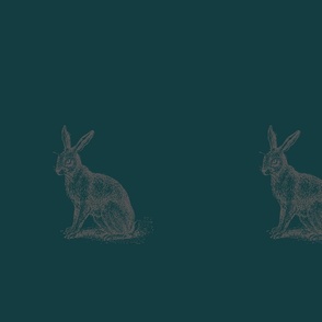 green  rabbit 