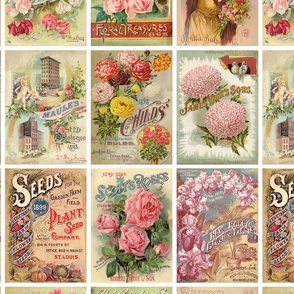 Antique Vintage Flower Seed Packets Collage perfect for gardeners and spring themes!