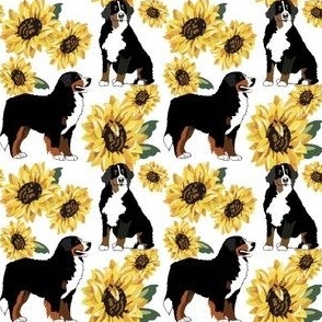 Bernese Mountain Dog and Sunflowers Small Print - Dog Fabric