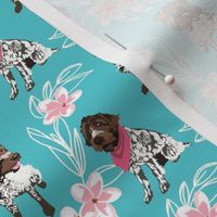 Wire Haired Griffon Dog Teal Dog Fabric