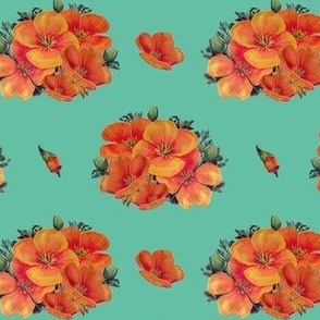 Orange vintage poppies on aqua - medium