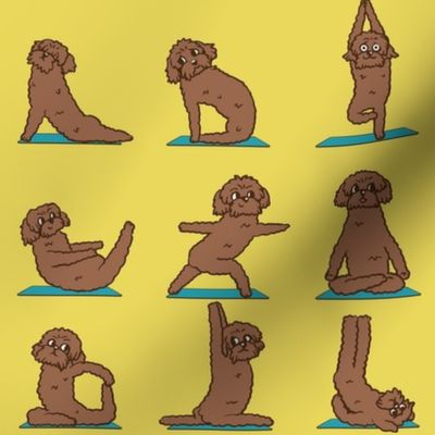 Labradoodle Yoga_8x8