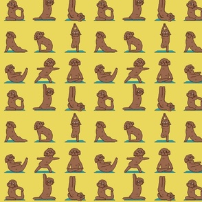 Labradoodle Yoga_8x8