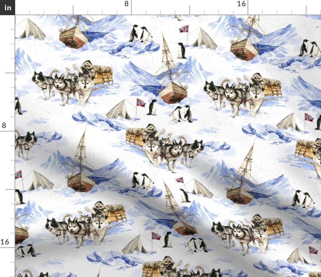 Large Scale / Amundsen's South Pole Expedition / White Background 