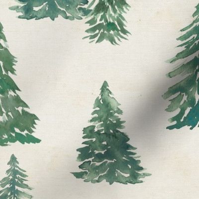 Christmas Trees, Rustic Texture - 12x12