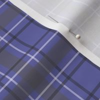 small tartan plaid on periwinkle