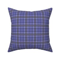 small tartan plaid on periwinkle