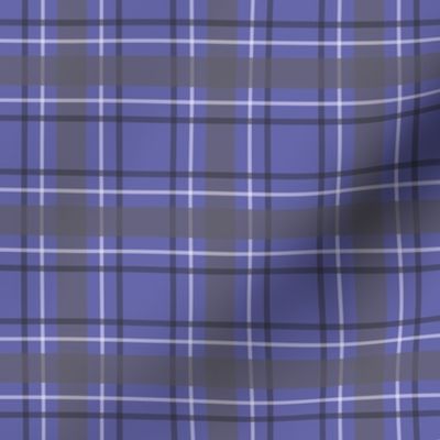 small tartan plaid on periwinkle