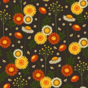 strawflower pattern