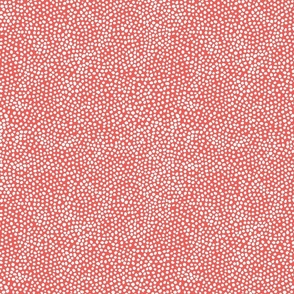 coral dots