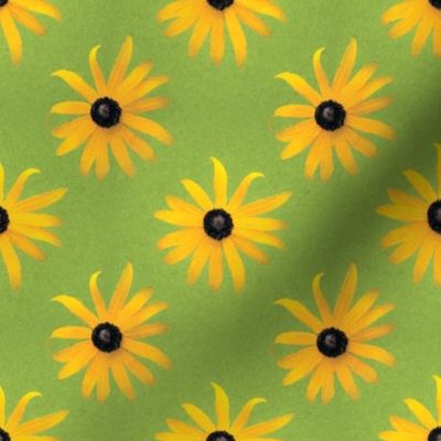 Black-eyed Susan,  floral from photo