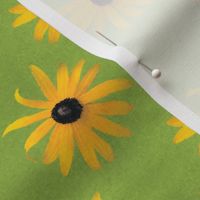 Black-eyed Susan,  floral from photo