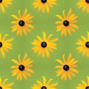 Black-eyed Susan,  floral from photo