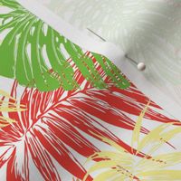 Tropical Palm Monstera Leaf in Citrus