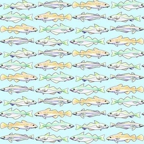 Four cod fish in lines on light blue