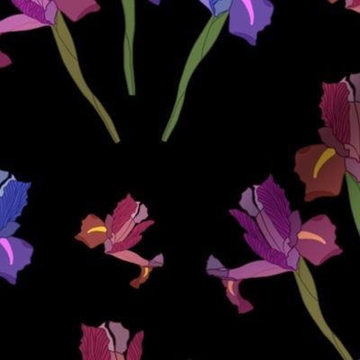 Wild Irises Allover! - black, medium to large 