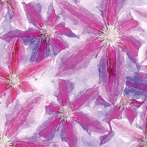 Clematis, pink to purple ,watercolor