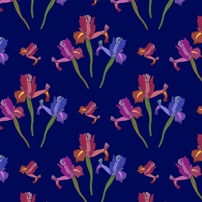 Wild Irises Allover! - midnight blue, medium to large 