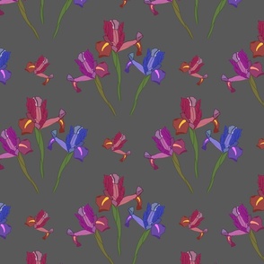 Wild Irises Allover! - charcoal grey, medium to large 