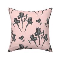 Wild Irises Allover! - greyscale on ballet pink, medium to large 