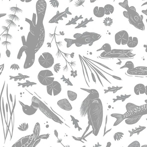 Lake Life - aquatic plants and animals of Ontario - beaver, ducks, loon, fish, heron, turtles - Grey - large