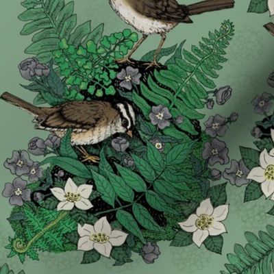 Garden Ferns And Sparrow Birds Botanical