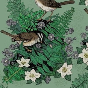 Garden Ferns And Sparrow Birds Botanical