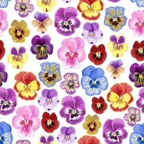 Watercolor pansies