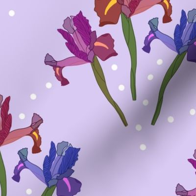 Wild Irises (spots) - Motif - lilac, medium to large 