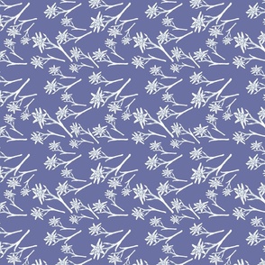 Edelweiss Murren Blau