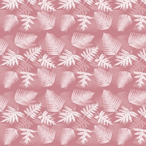 Pink and white Ferns