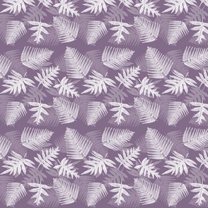 Purple and white ferns