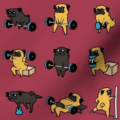 Best Glute Exercises for Pug_8x8