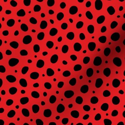 Medium Scale Red Black Polka Dots