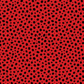 Medium Scale Red Black Polka Dots